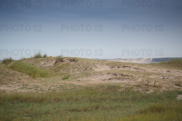 Baie d'Authie (Pas-de-Calais, France)