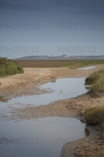 Baie d'Authie (Pas-de-Calais, France)