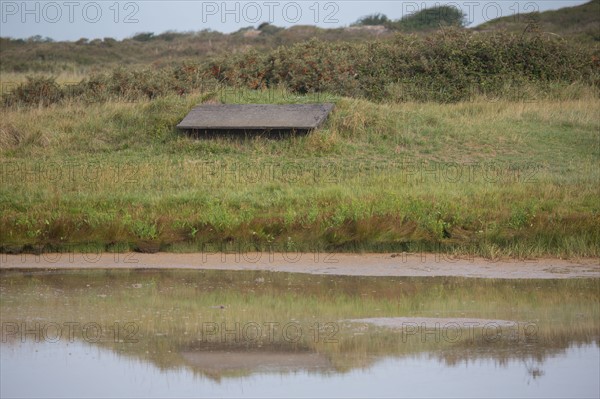 Baie d'Authie (Pas-de-Calais, France)