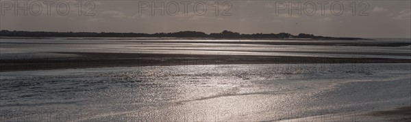 Le Crotoy (Baie de Somme, France)