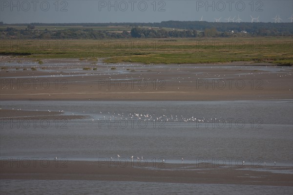 Le Crotoy (Baie de Somme, France)