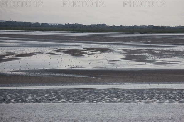 Le Crotoy (Baie de Somme, France)