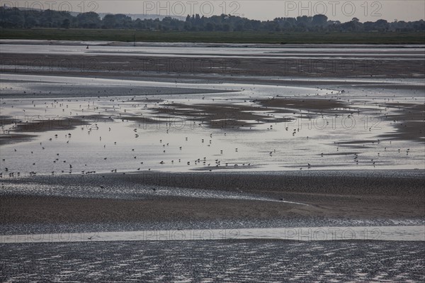 Le Crotoy (Baie de Somme, France)