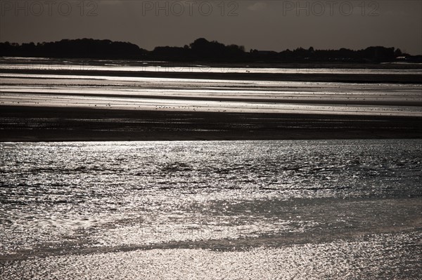 Le Crotoy (Baie de Somme, France)