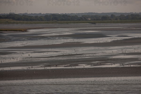 Le Crotoy (Baie de Somme, France)