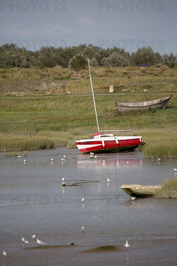 Le Crotoy (Baie de Somme, France)