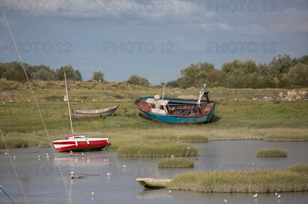 Le Crotoy (Baie de Somme, France)