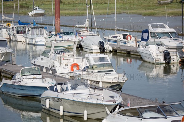 Le Crotoy (Baie de Somme, France)