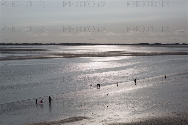 Le Crotoy (Baie de Somme, France)