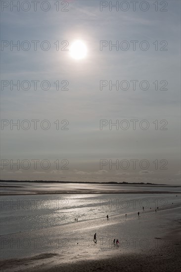 Le Crotoy (Baie de Somme, France)