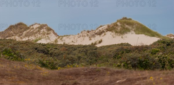 Quend (Baie de Somme, France), site de Belle Dune