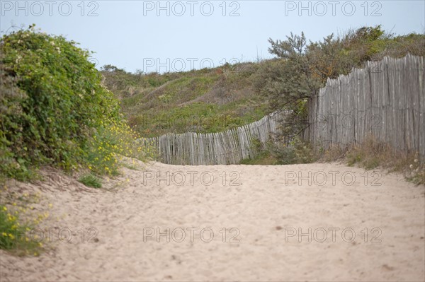 Quend (Baie de Somme, France), site de Belle Dune