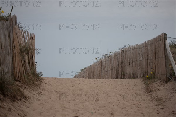 Conservation area of Belle Dune in Quend