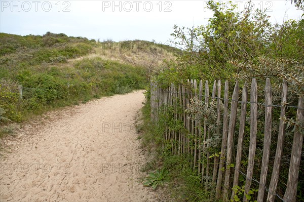 Quend (Baie de Somme, France), site de Belle Dune