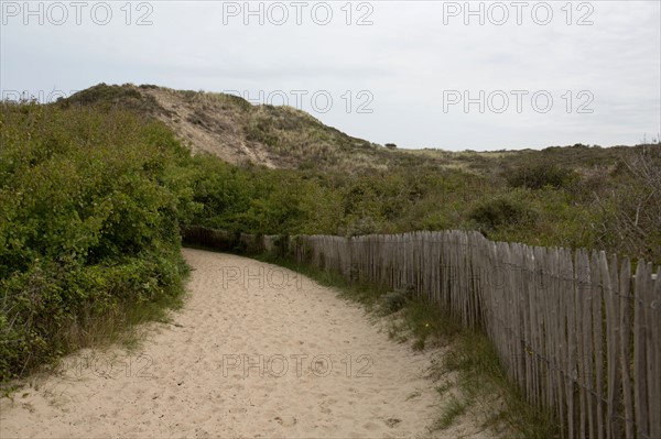 Conservation area of Belle Dune in Quend