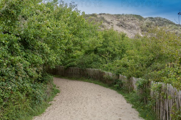 Conservation area of Belle Dune in Quend