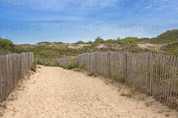 Conservation area of Belle Dune in Quend