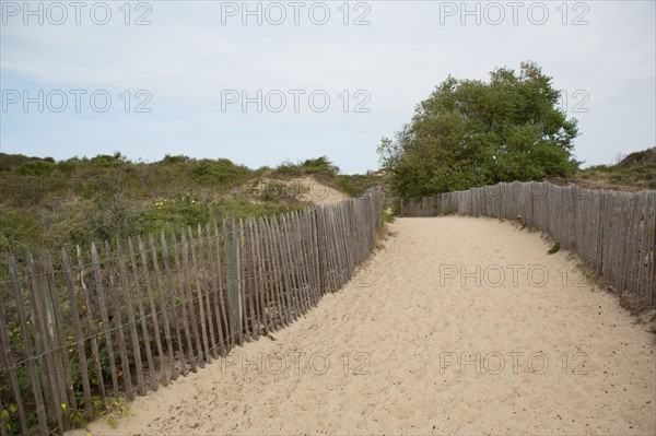 Quend (Baie de Somme, France), site de Belle Dune