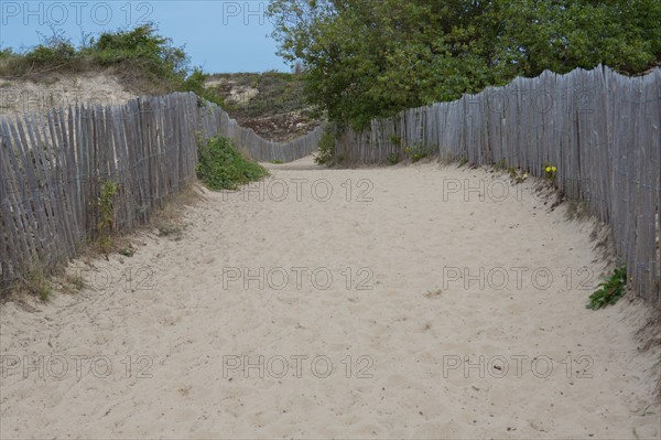 Conservation area of Belle Dune in Quend