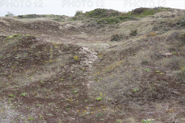 Conservation area of Belle Dune in Quend