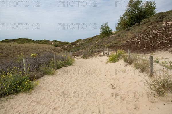 Quend (Baie de Somme, France), site de Belle Dune