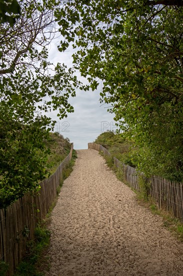 Quend (Baie de Somme, France), site de Belle Dune