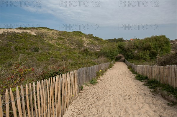 Conservation area of Belle Dune in Quend