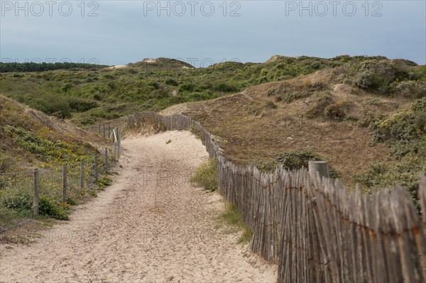 Conservation area of Belle Dune in Quend