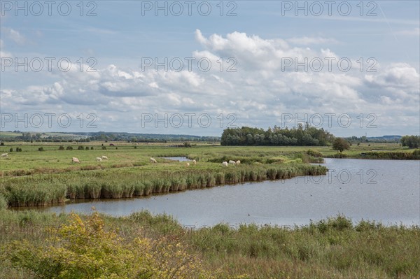 Le Crotoy (Baie de Somme, France)