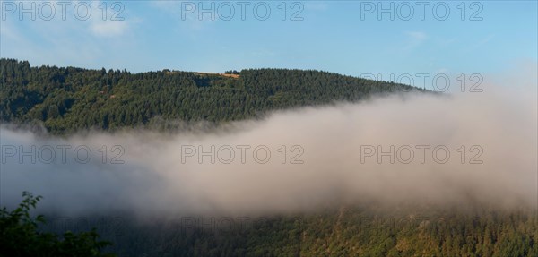 Parc des Grands Causses, brume matinale sur les gorges du Tarn