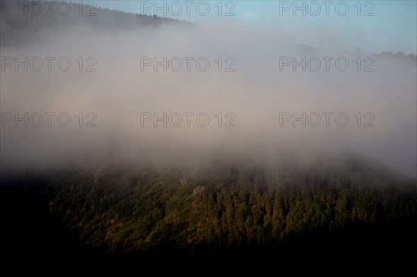 Parc des Grands Causses, brume matinale sur les gorges du Tarn