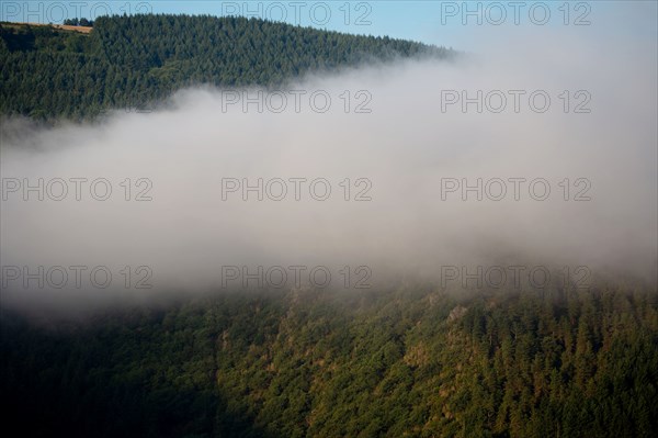 Morning haze over the Gorges du Tarn