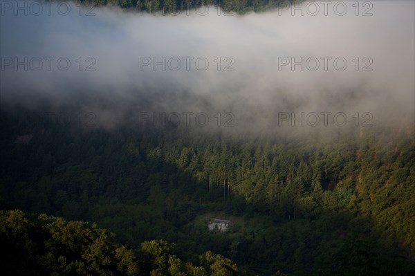 Parc des Grands Causses, brume matinale sur les gorges du Tarn