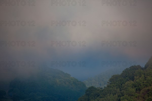 Parc des Grands Causses, brume matinale sur les gorges du Tarn