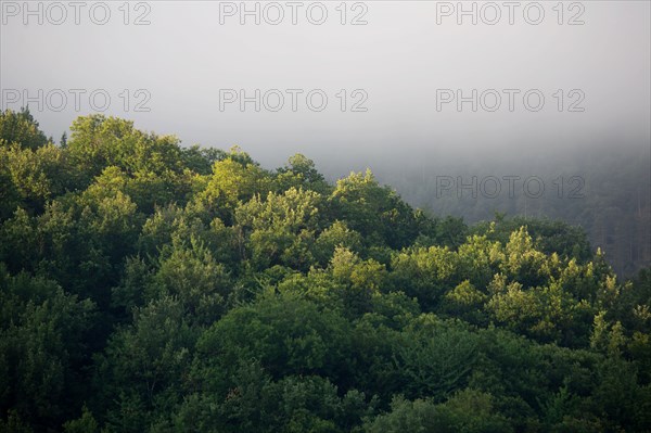 Morning haze over the Gorges du Tarn