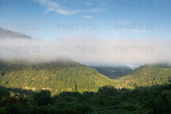Parc des Grands Causses, brume matinale sur les gorges du Tarn