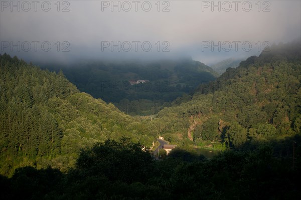 Parc des Grands Causses, brume matinale sur les gorges du Tarn