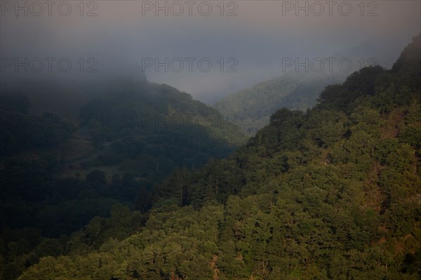 Parc des Grands Causses, brume matinale sur les gorges du Tarn