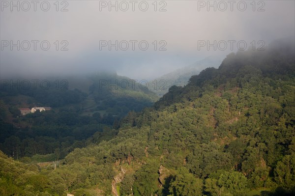 Parc des Grands Causses, brume matinale sur les gorges du Tarn