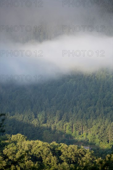 Morning haze over the Gorges du Tarn