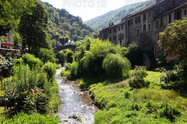 Regional nature park of Grands Causses