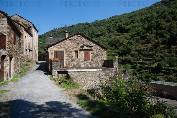 Regional nature park of Grands Causses