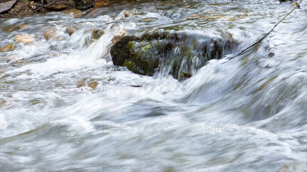 Gorges du Tarn