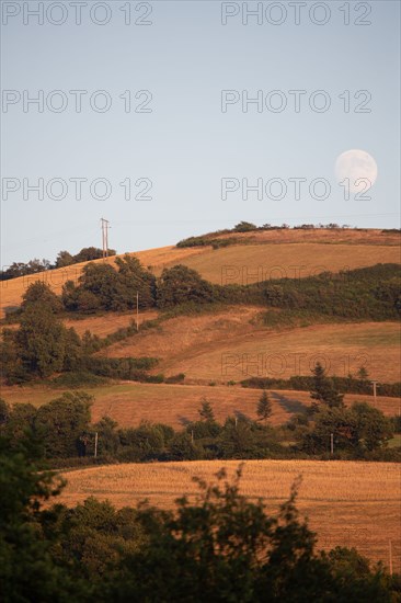 Regional nature park of Grands Causses