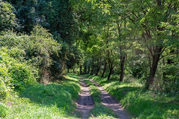 Regional nature park of Grands Causses, towpath