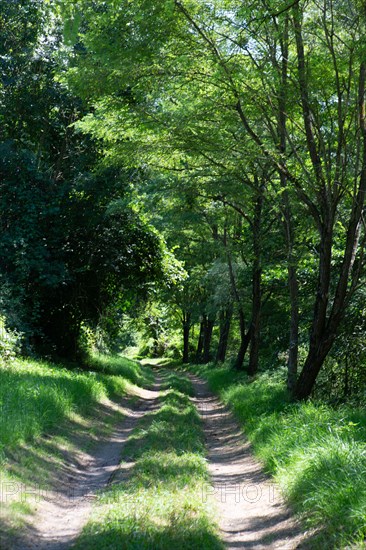 Parc des Grands Causses, Gorges du Tarn, Brousse le Château