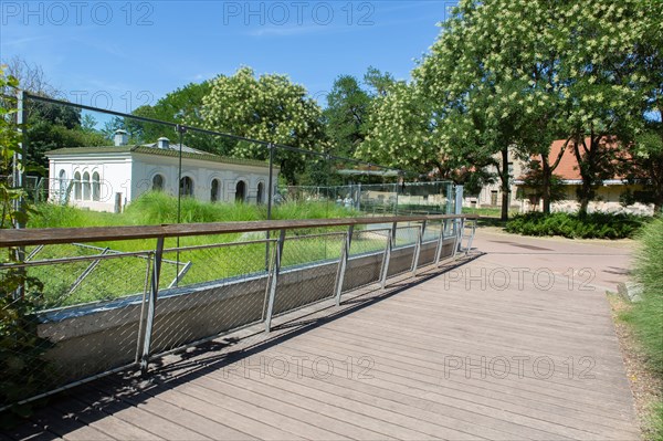 Lyon, Parc de la Tête d'Or, animaux