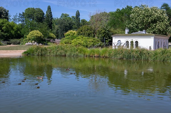 Lyon, Parc de la Tête d'Or, animaux