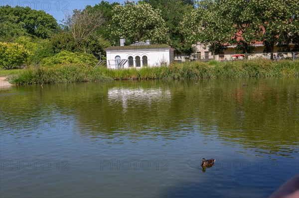 Lyon, Parc de la Tête d'Or, animaux