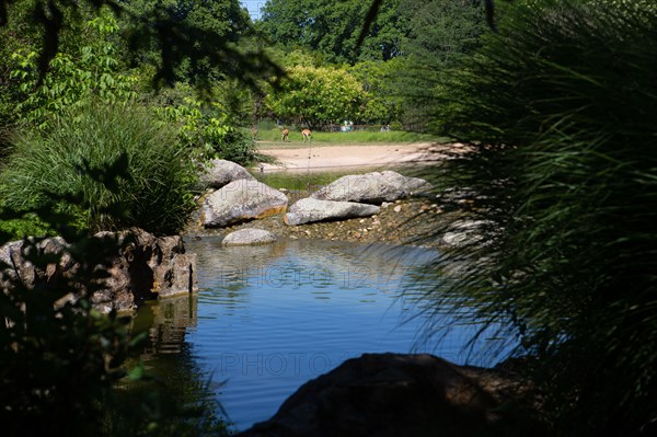 Lyon, Parc de la Tête d'Or, animaux